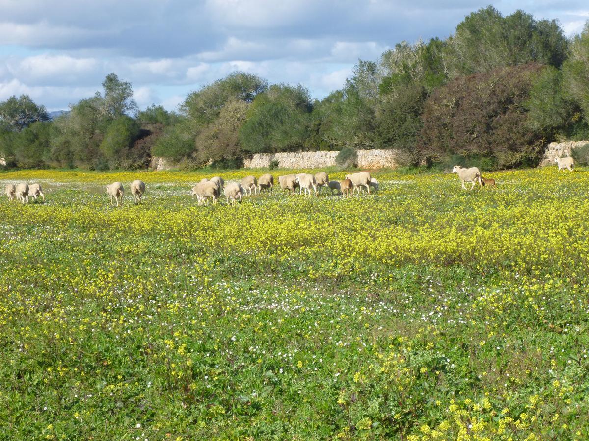 Agroturisme Son Llado Campos  Exteriör bild